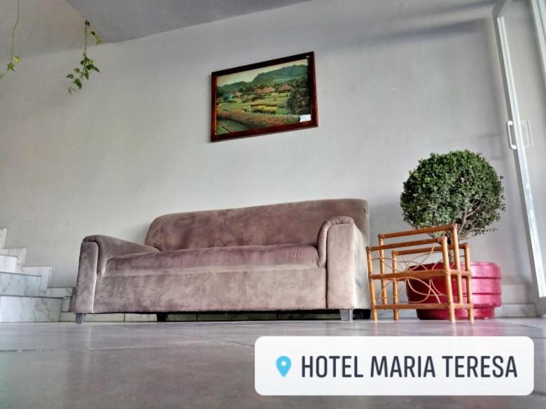 Hotel Maria Teresa Río Verde Eksteriør billede